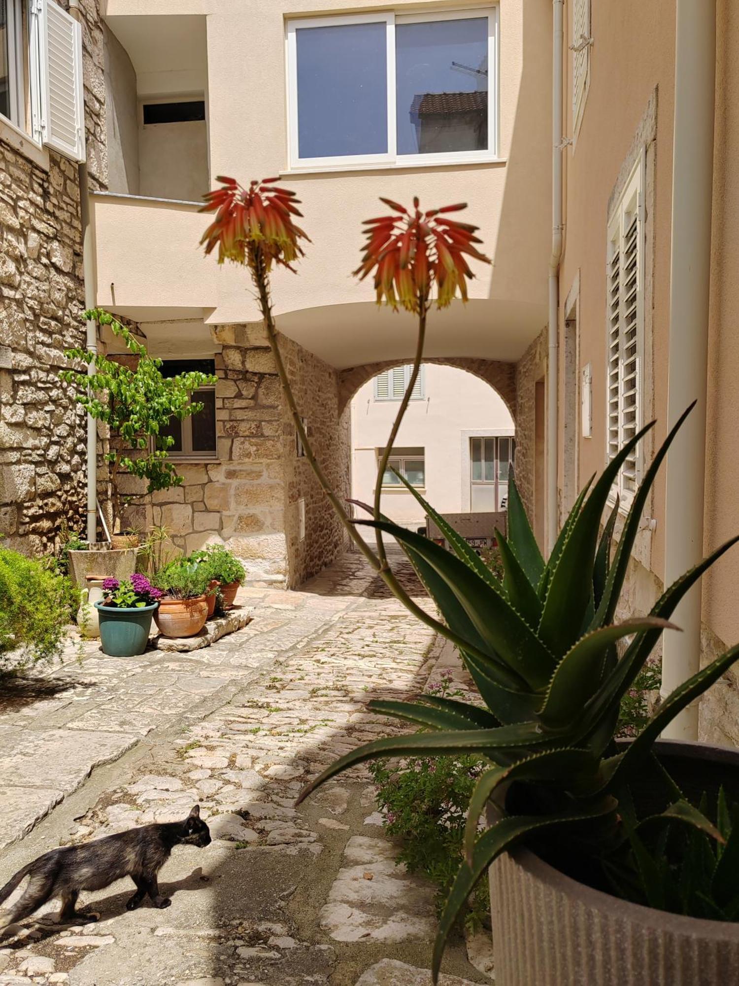 Apartments Ani Vela Luka Zewnętrze zdjęcie