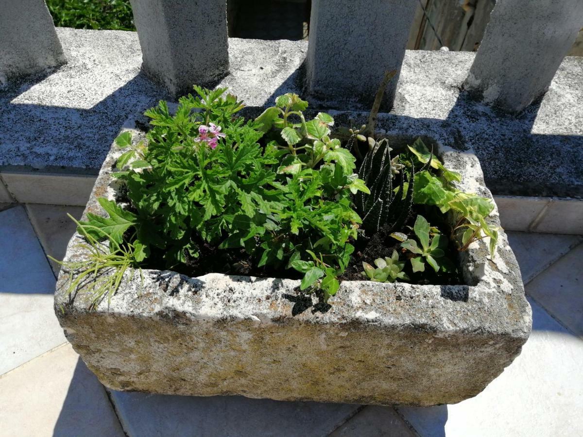 Apartments Ani Vela Luka Zewnętrze zdjęcie